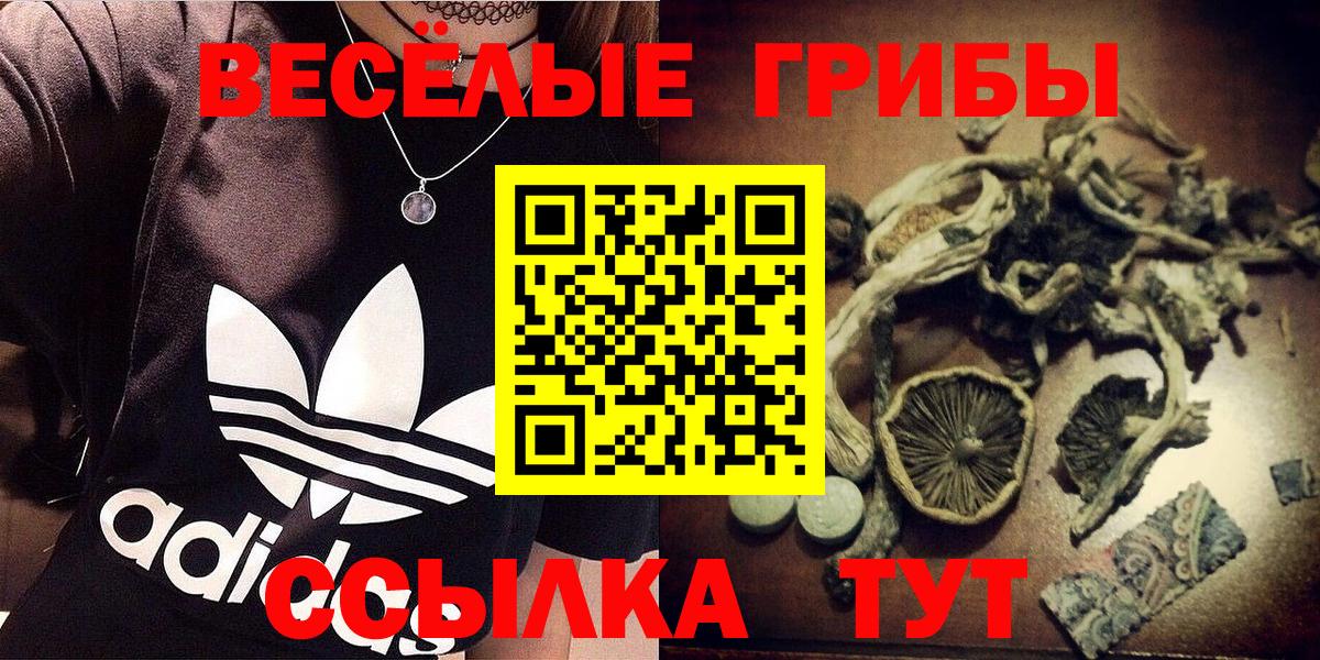 Псилоцибиновые грибы прущие грибы Новоалтайск