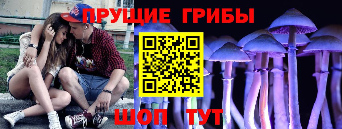 купить   Вход с VPN  Новоалтайск  Псилоцибиновые грибы мицелий  Псилоцибиновые грибы мицелий 